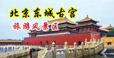 被肏的淫蕩視頻中国北京-东城古宫旅游风景区